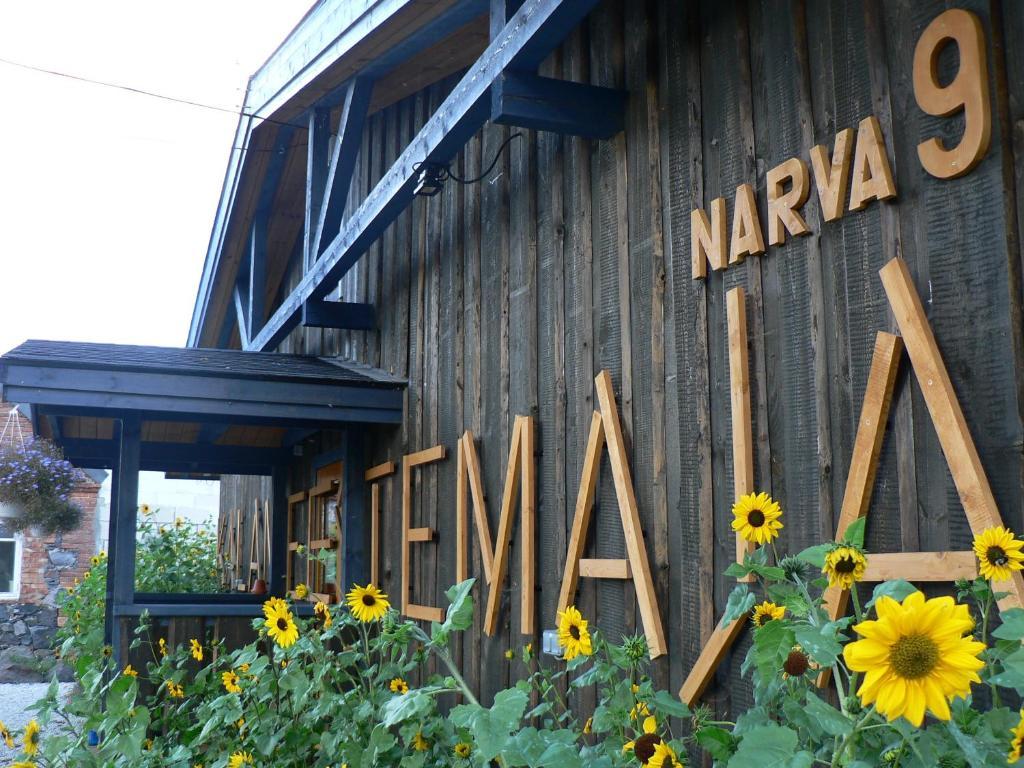 Hostel Kalameeste Maja Mustvee Exterior photo