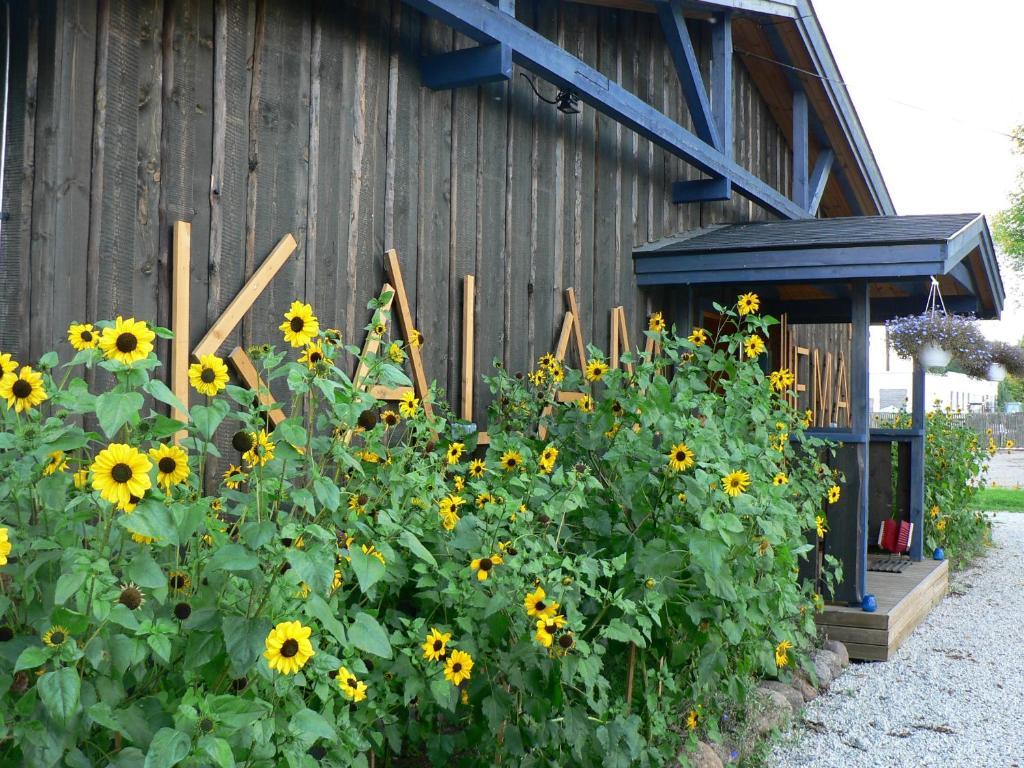 Hostel Kalameeste Maja Mustvee Exterior photo